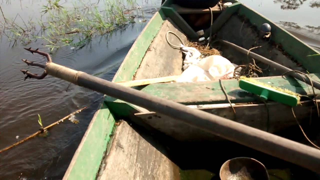 Zagaia de paracuuba , pesca de aruan&atilde; e tucunar&eacute;.