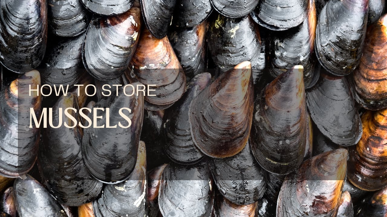 How to Store Mussels: Fresh or Cooked