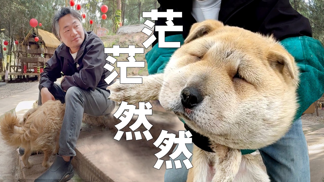突然的好谁也受不了
