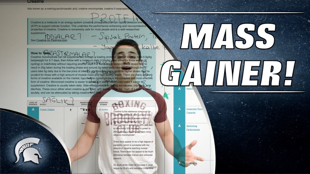 Kilo Aldırıcı Gainer: İddialar, Gerçekler, Sağlık, Kullanım Önerileri