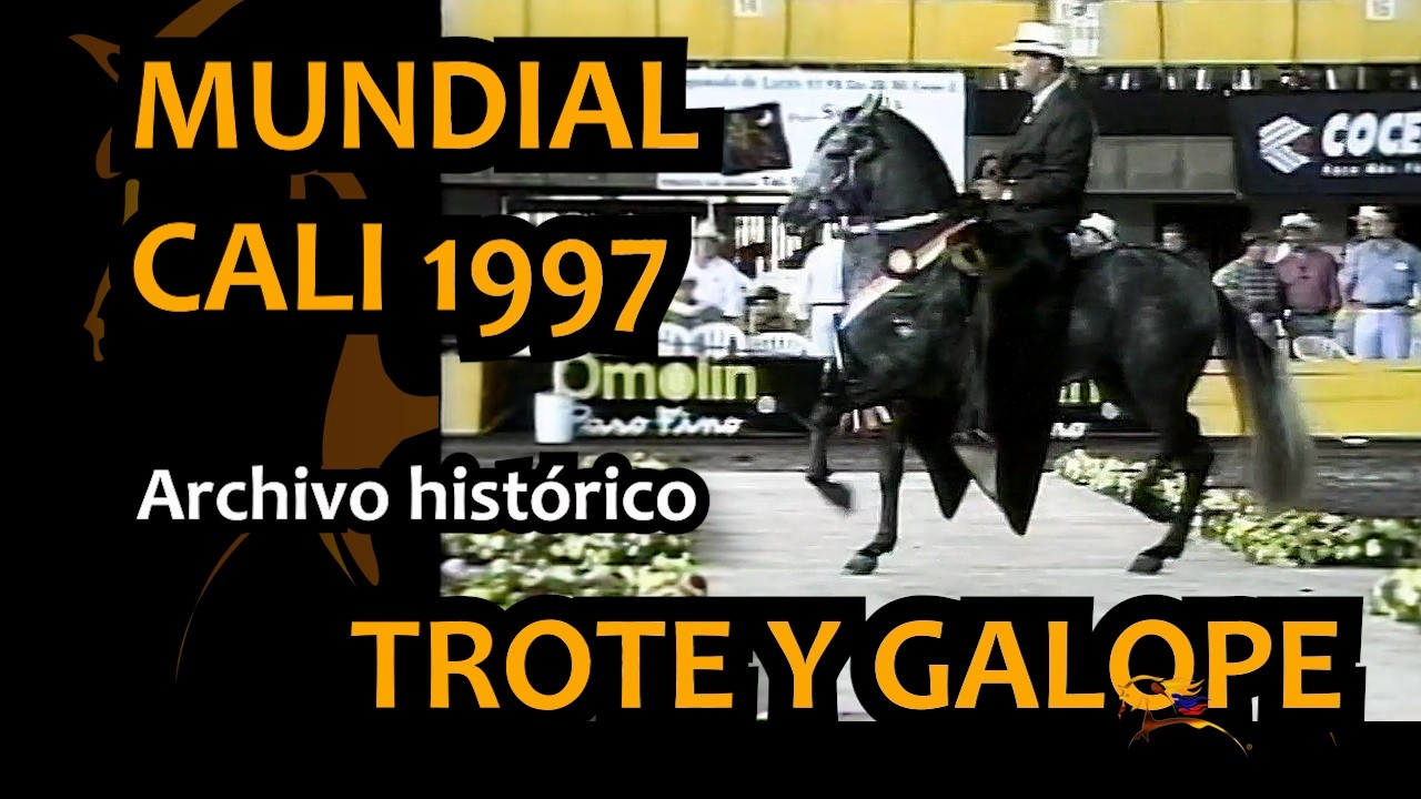 ¡HISTÓRICO! Final Mundial de Reproductores TROTE Y GALOPE - Cali 1997 (CONFEPASO)