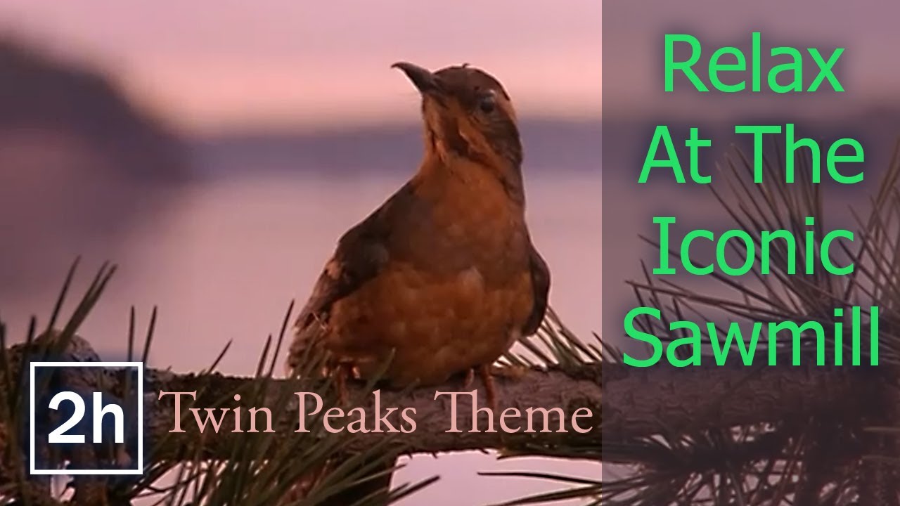 Twin Peaks Theme - Relax At The Iconic Sawmill - 2 hours