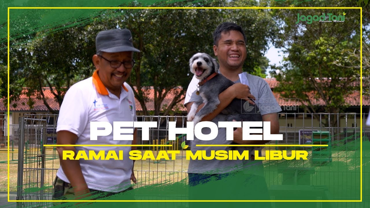 Omzet 200 Juta, Bisnis Hotel Hewan Sangat Menjanjikan