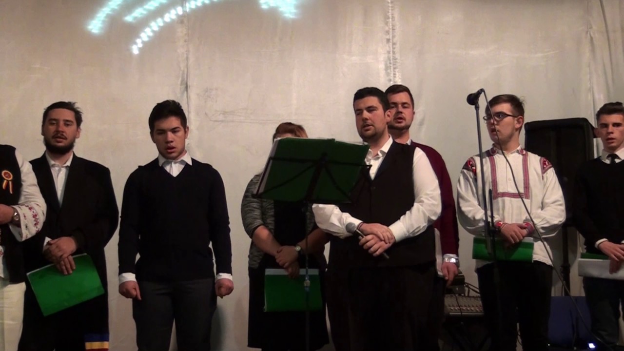 03 NOGHIU BOGDAN SI PAUL KRIZNER