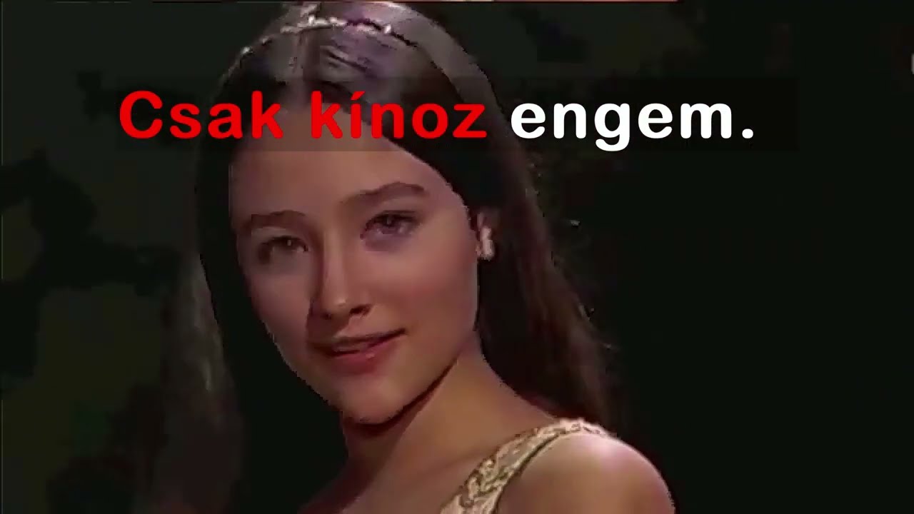 Tiltott Szerelem (karaoke-video mix)