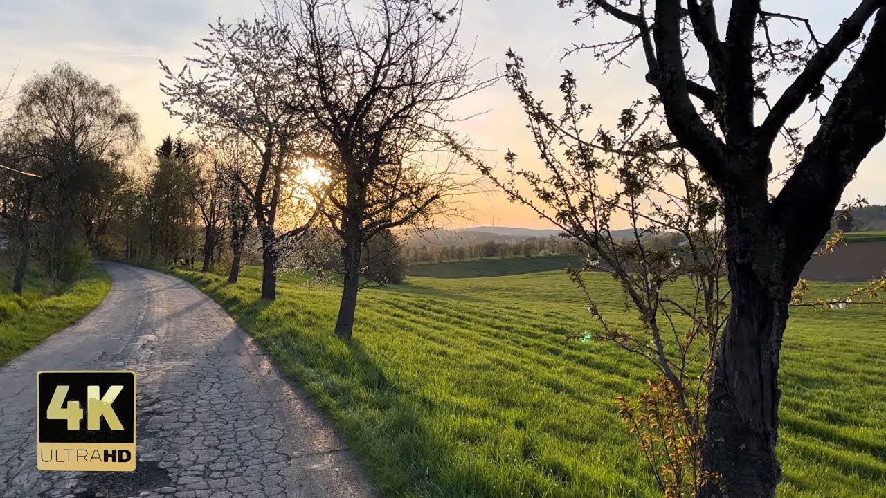 A moment of respite on my favorite dirt path |15 minutes of relaxing sounds
