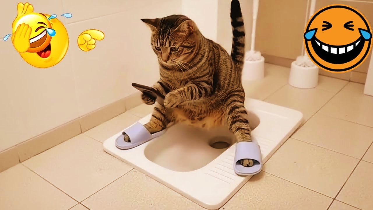 𝐘𝐨𝐮 𝐋𝐚𝐮𝐠𝐡 𝐘𝐨𝐮 𝐋𝐨𝐬𝐞 😂😻😊𝐅𝐮𝐧𝐧𝐢𝐞𝐬𝐭 𝐃𝐨𝐠𝐬 𝐚𝐧𝐝 𝐂𝐚𝐭𝐬 𝟐𝟎𝟐6😅