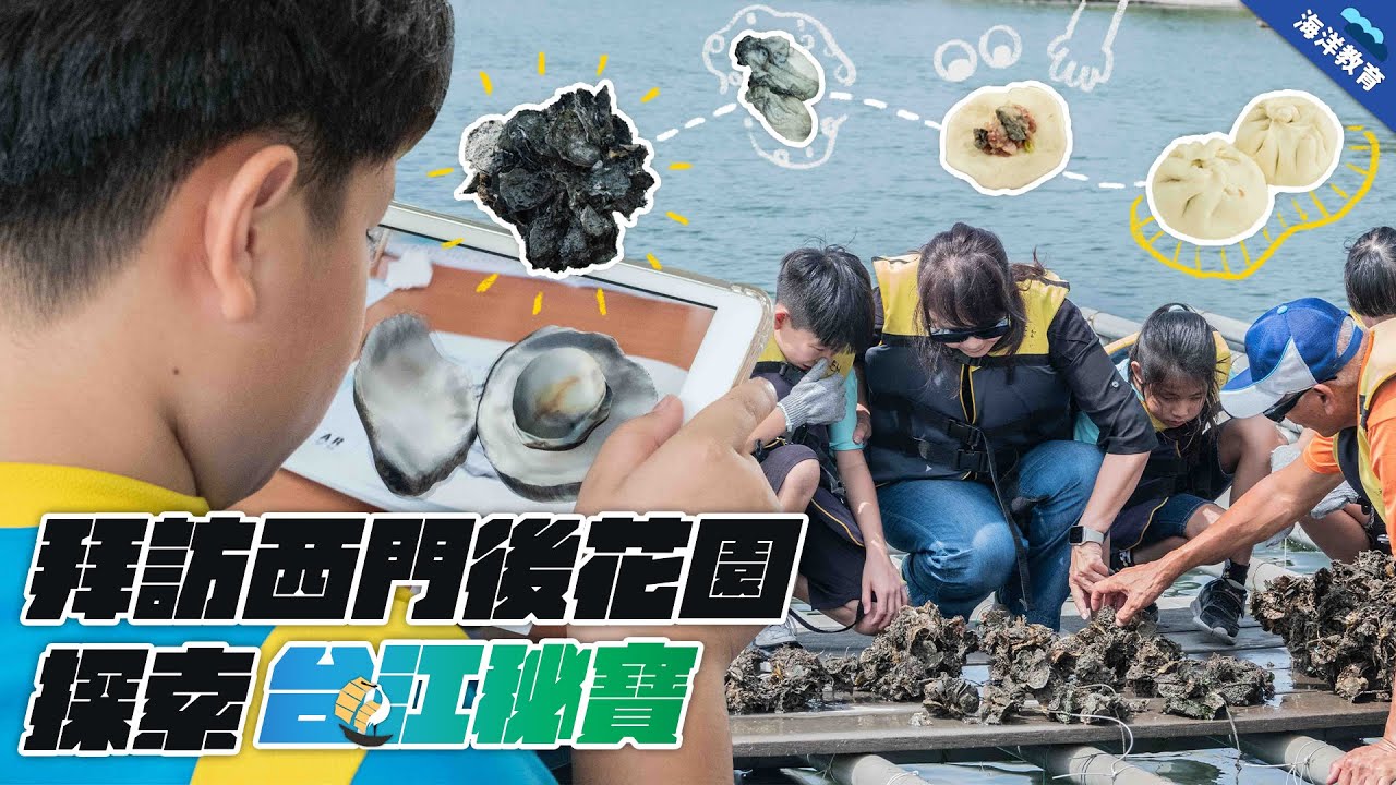 牡蠣竟然有這種功效？！孩子眼中的蚵仔，蘊藏著人與自然共生的記憶｜拜訪西門後花園 探索台江秘寶 – 公視 海洋教育EP07 兒少教育資源網