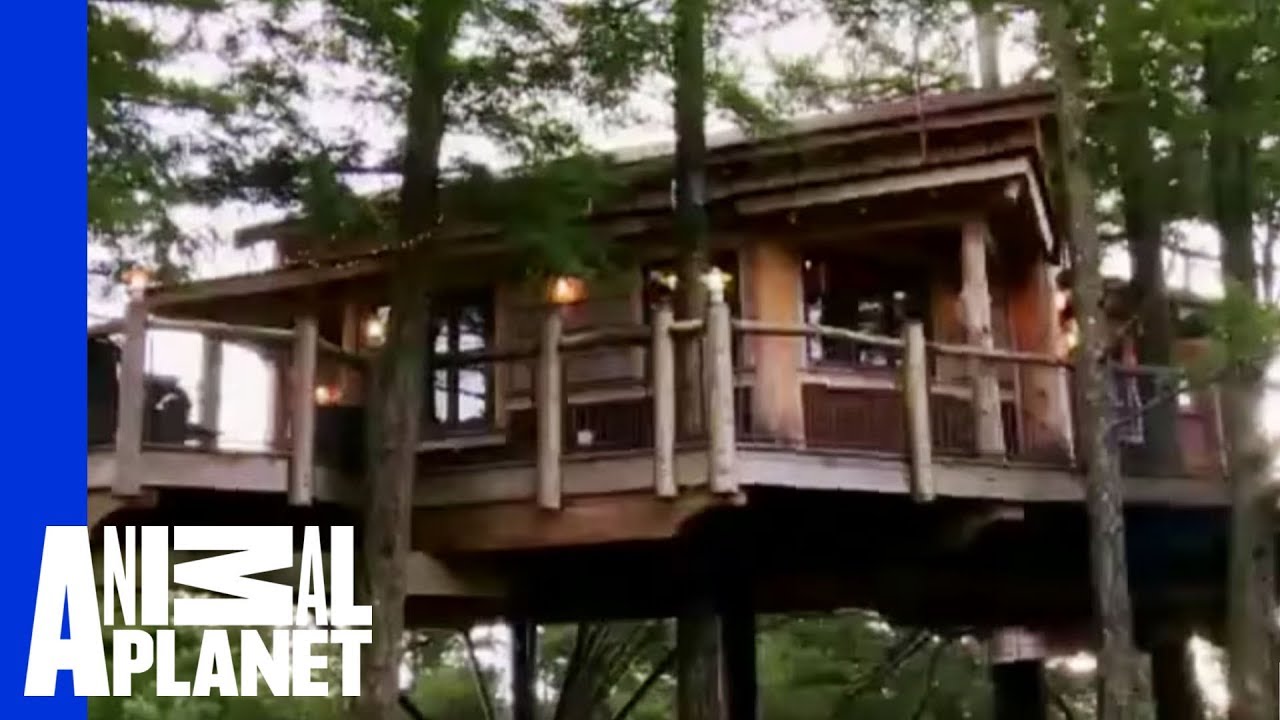 Goat Leap Treehouse | Ultimate Treehouses