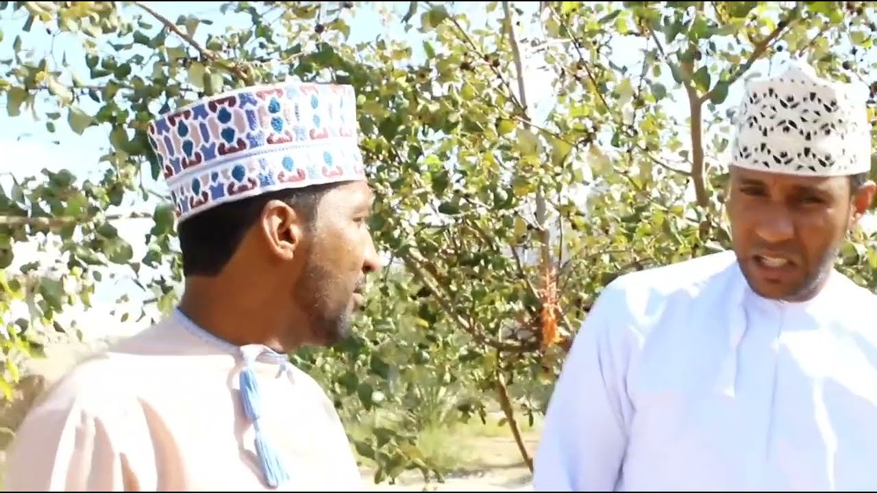 مسلسل أبو نجم | الحلقة 4