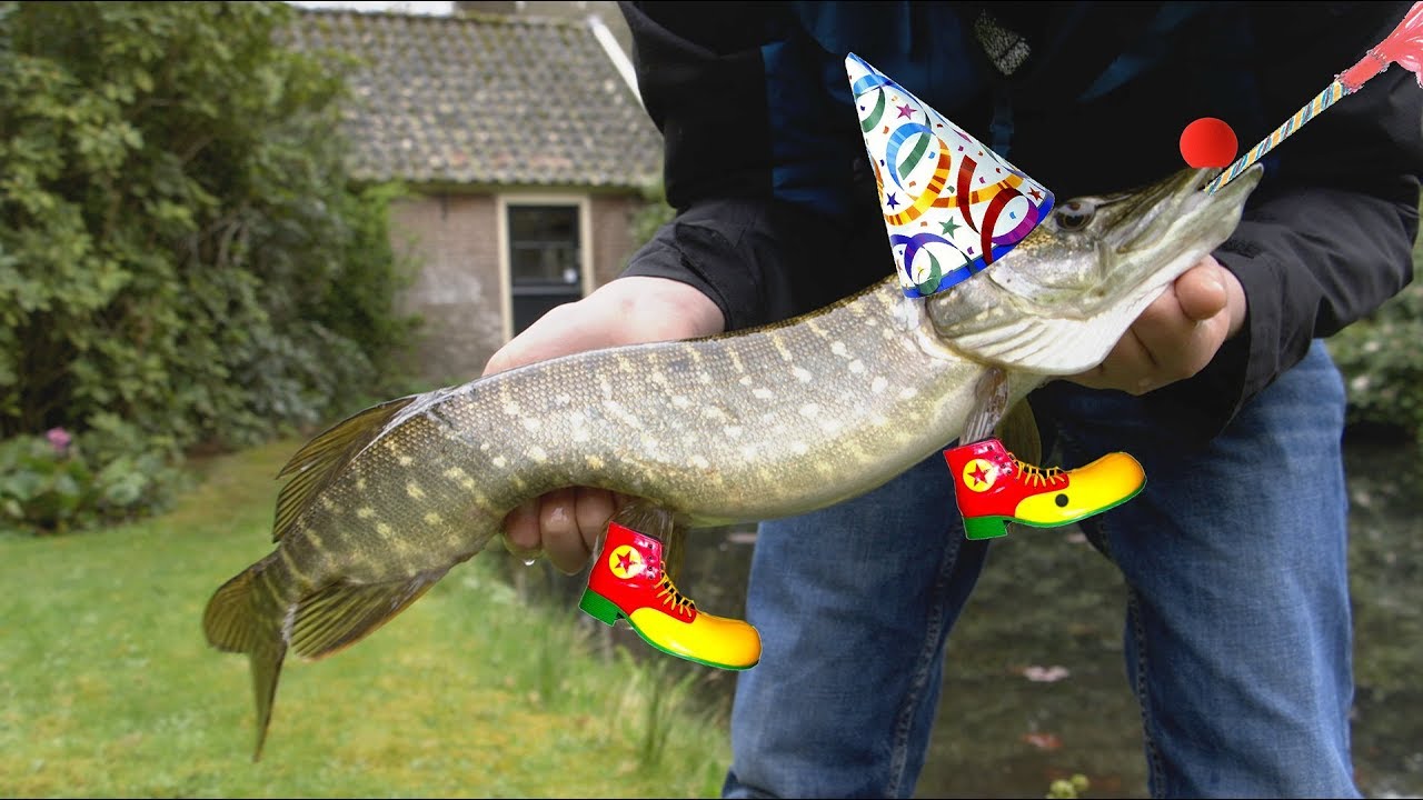 Viskid en de GEKKE tuinsnoek! (English subtitles)