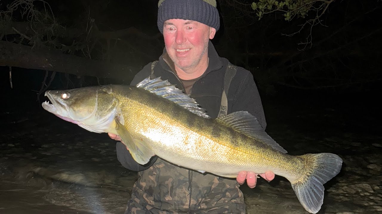 Big water Zander fishing 🎣 In-depth Zander rig