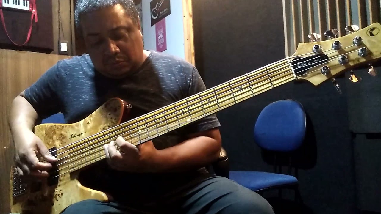 Pagodinho Raiz, 