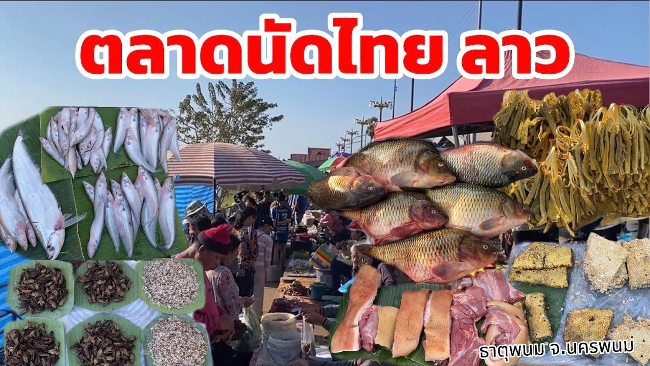 ตลาดนัดไทยลาว 9 กพ 2569 ของป่า ปลาน้ำโขง ไข่มดแดง #ตลาดนัดไทยลาว #ตลาดลาว