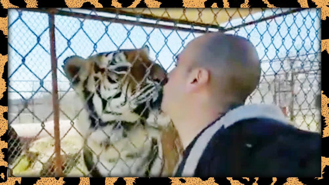 BigCatDerek Instagram Compilation | March 2018 Part 1
