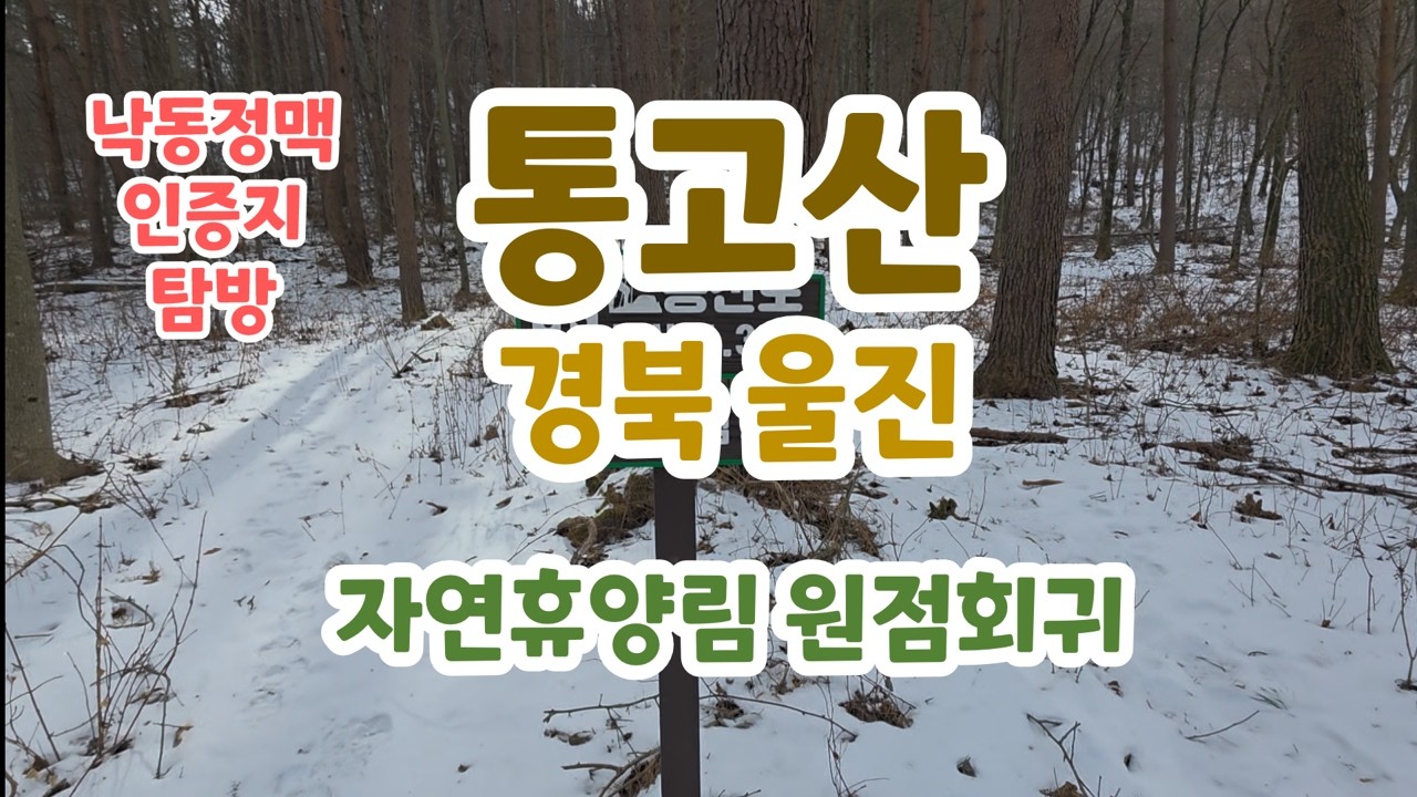 낙동정맥 4-1 통고산 / 국립통고산자연휴양림 원점회귀 / 블랙야크 낙동정맥 인증지 탐방 / 경북 울진군