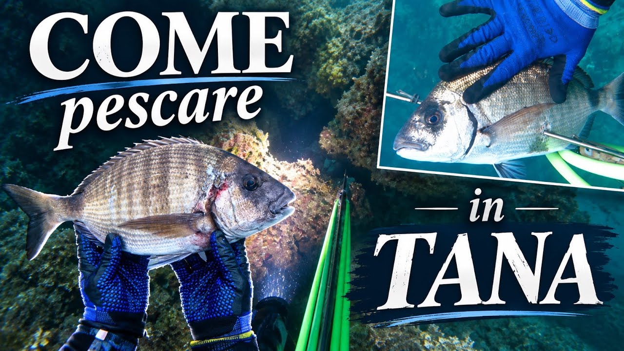 COME pescare in TANA, pesca sub 