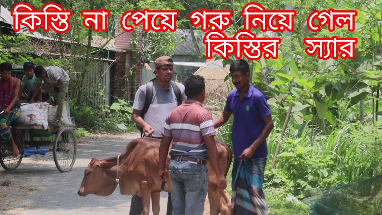 কিস্তির স্যার কিস্তি না পেয়ে গরু নিয়ে গেল |Bangla  Natok | Bangla funny video | হাসান সাব\Hasan Shab