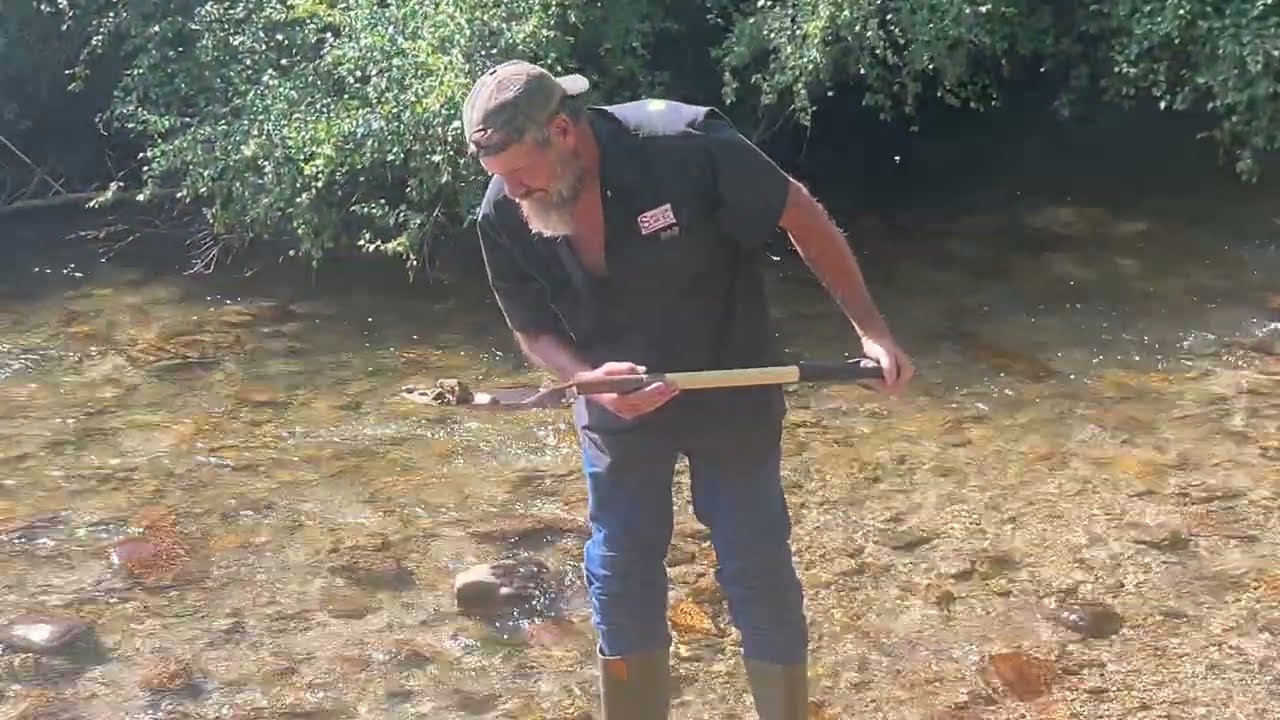 Chalk Creek Campground: gold panning 