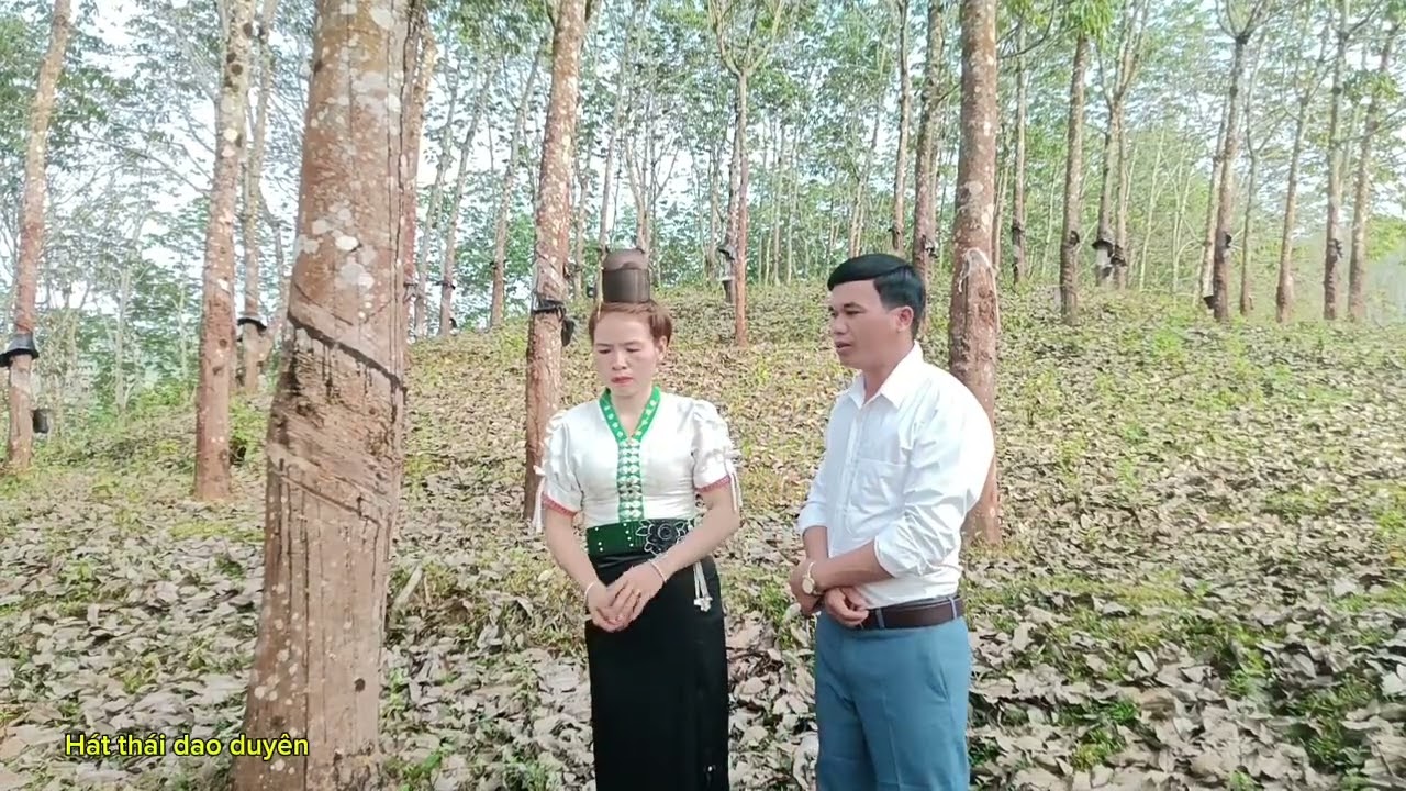 Nậm hoi gặp nhau tại đồi cao su mọi người cùng nghe nhé ai không nghe thì phí quá 