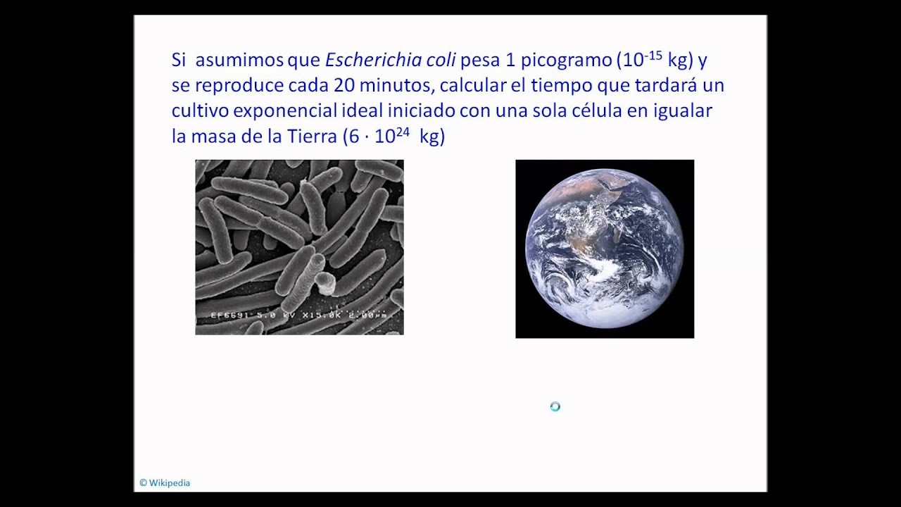 umh1399 Lec002-2 Ecuaciones Crecimiento Microbiano