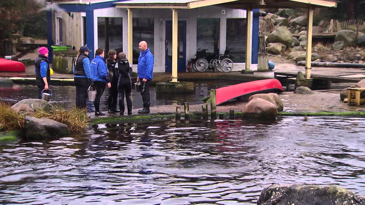 Surprise Surprise, seizoen 2015 | Tal van verrassingen voor deze zusjes