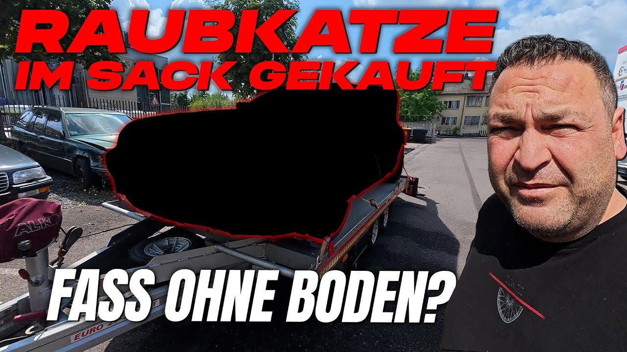 Die (Raub)-Katze im Sack gekauft! - Mit mehr Problemen als gedacht...
