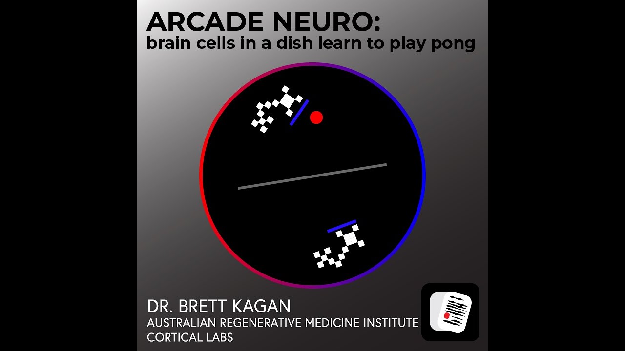 45.Arcade Neuro: brain cells in a dish learn to play Pong with Dr Kagan