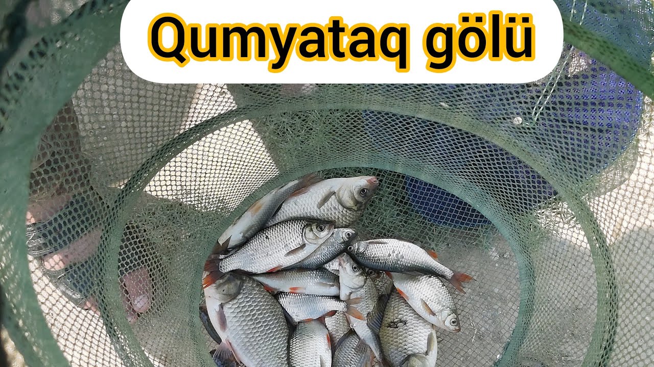 İzləyicilərin istəyi ilə ( Ceyranbatan qumyataq g&ouml;l&uuml; ) karas ovu.Ловля карася. #fishing