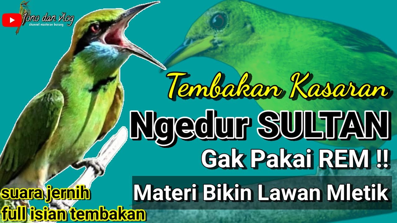 NGEDUR ! MASTERAN FULL ISIAN TEMBAKAN || Materi Kasaran Bikin Lawan Mletik - Masteran Suara Jernih