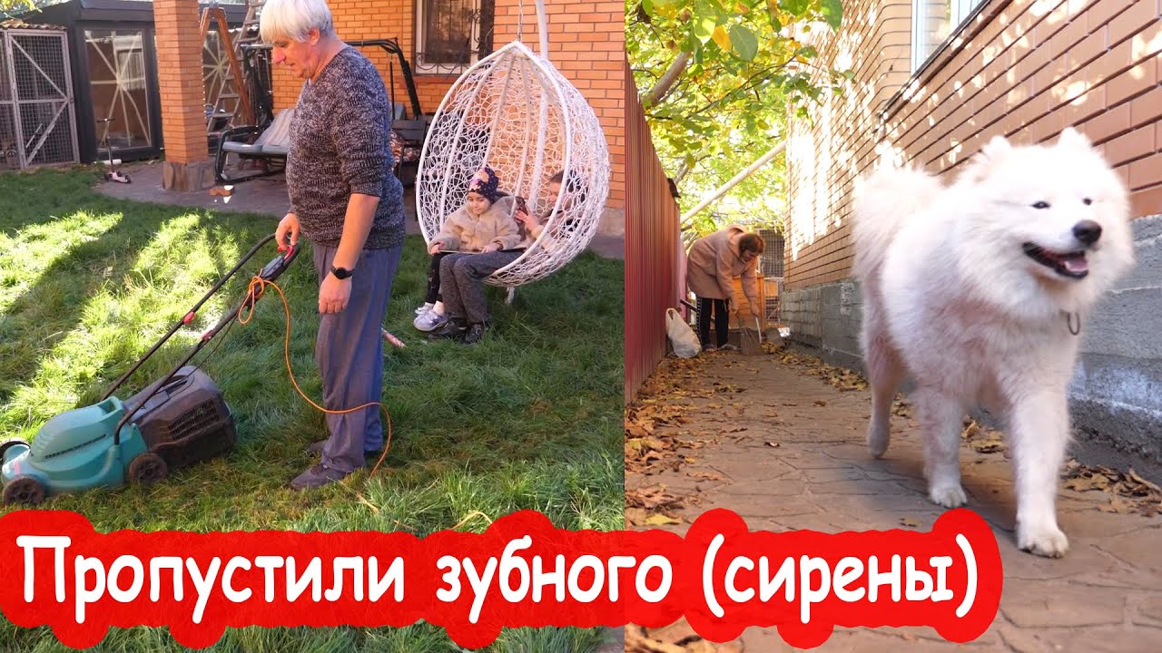 VLOG Приводим в порядок двор. Надина мама уехала