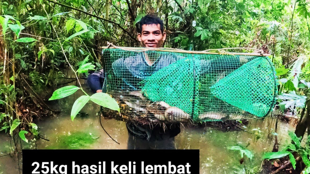 Spot baru membubu limbat diawal musim eps115