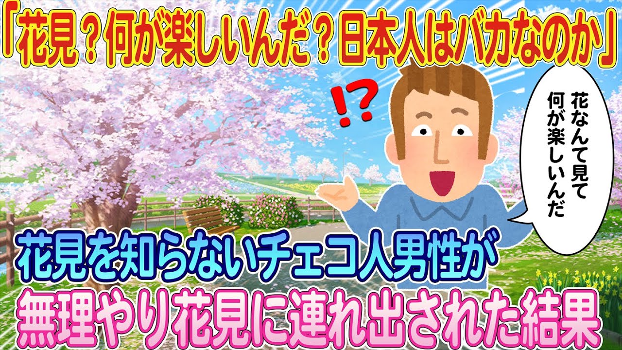 「花見？何が楽しいんだ？日本人は馬鹿なのか？」チェコ人男性が無理矢理日本人とウズベキスタン人に花見に連れ出された結果【ゆっくり解説・海外の反応】