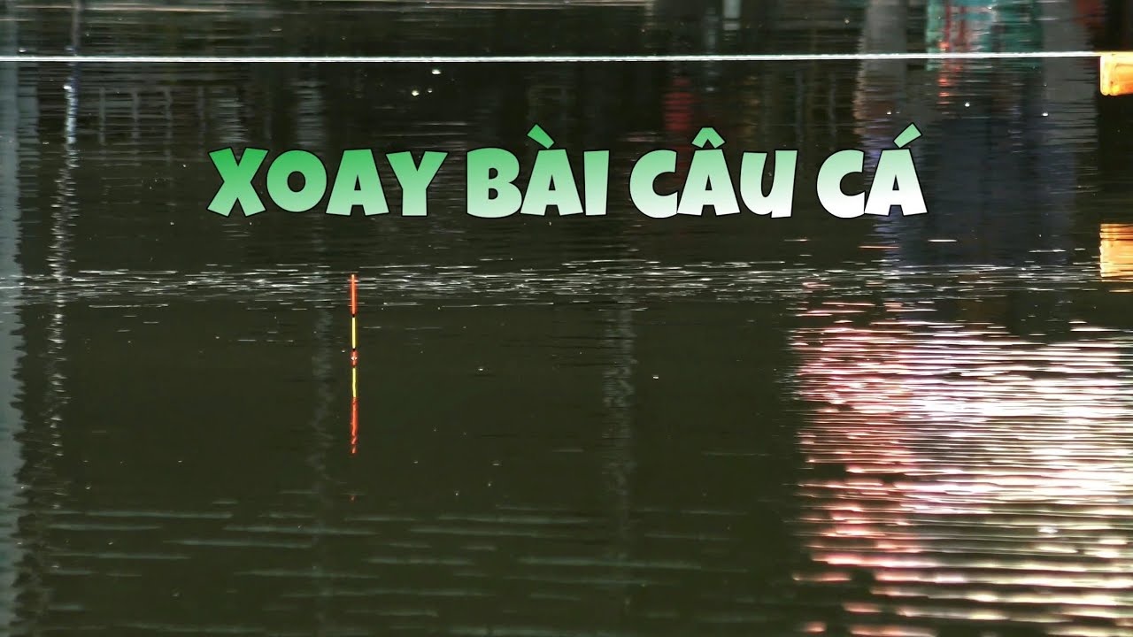 Hứa Với Vợ Mang Cá Về Và Cái Kết