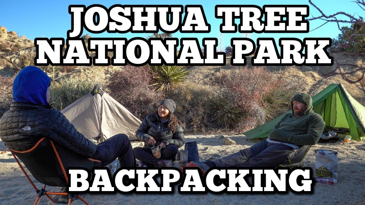 Joshua Tree National Park Overnight Backpacking | Lost Palms Oasis Hike | Cottonwood Springs | 4K