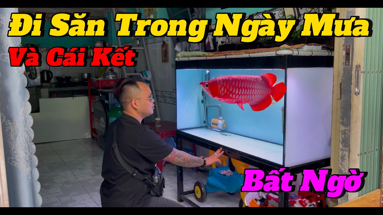 Đi Săn Trong Ngày Mưa và Cái Kết Bất Ngờ Không Tưởng | quá đẹp và quá êm