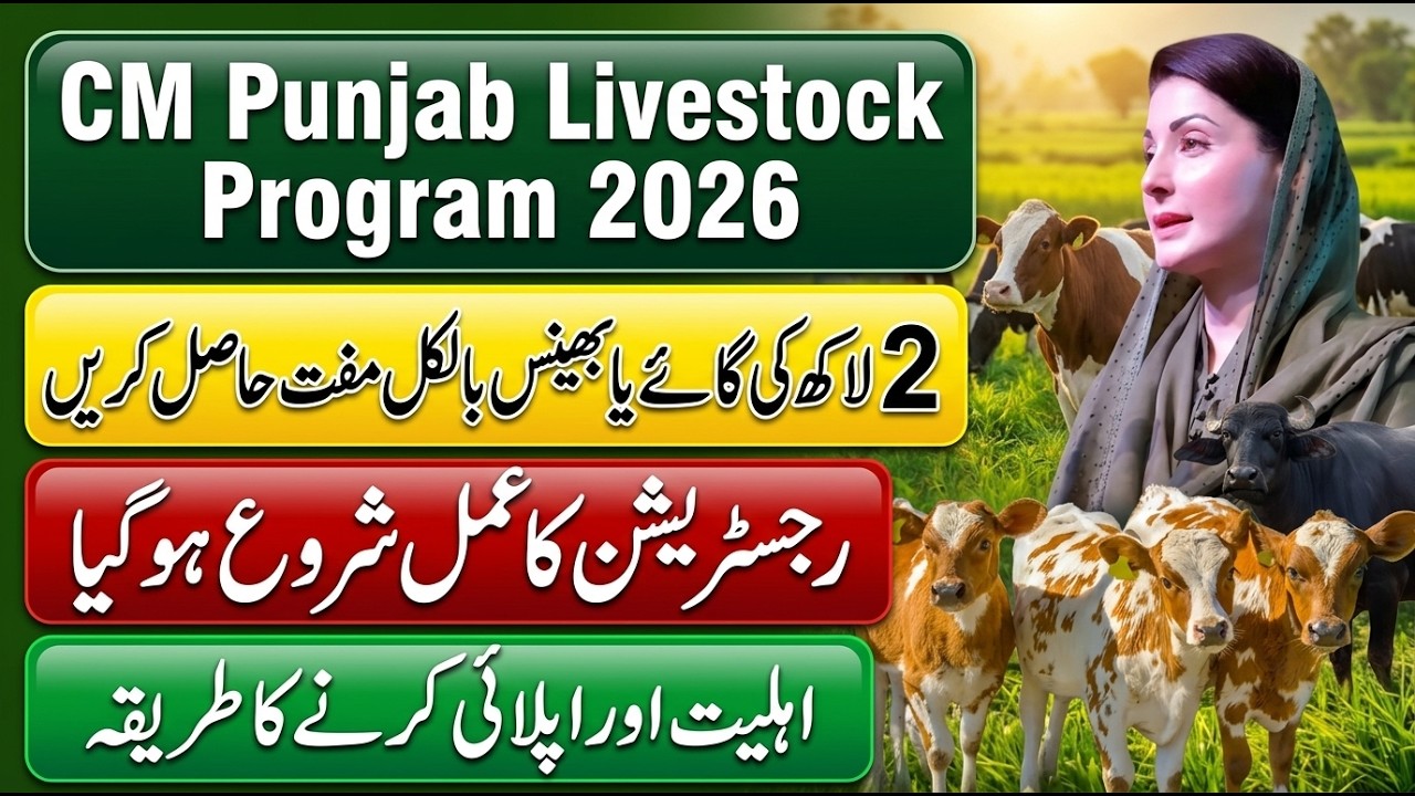 How to Apply for CM Punjab Livestock Program 2026 | Get Free Cow or Buffalo | Complete Guide