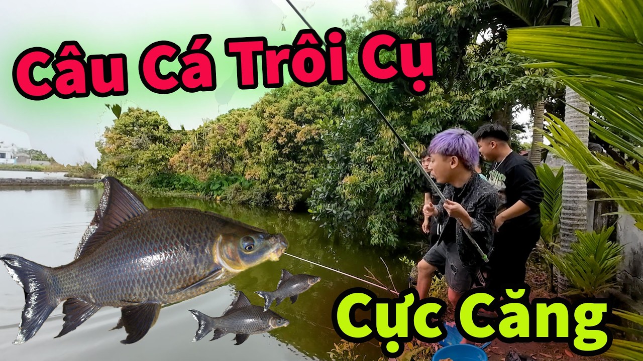 Hậu C&aacute;o V&agrave; My Rủ Văn Thi&ecirc;m C&acirc;u C&aacute; Tr&ocirc;i Nh&agrave; H&agrave;ng X&oacute;m || Kh&ocirc;ng Lối Tho&aacute;t !