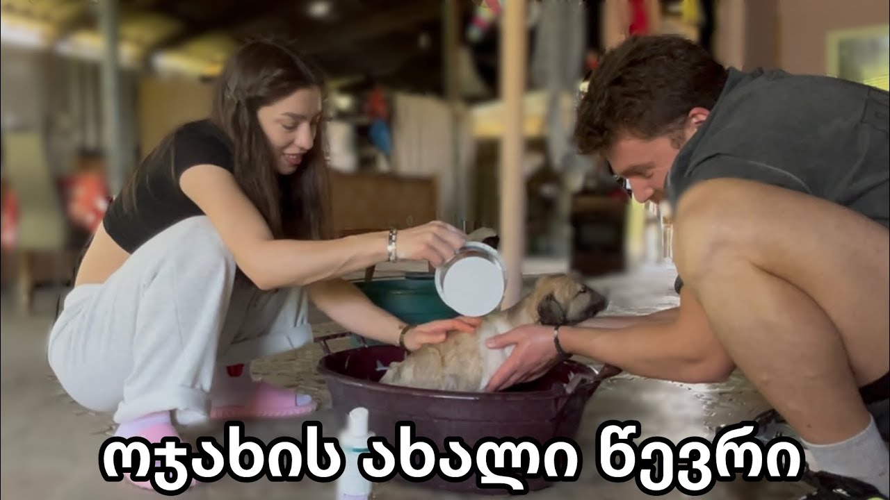 შევიფარეთ პაწია ცუგა 🐶 კახეთის ვლოგი☀️🌸🍃🌼🌺