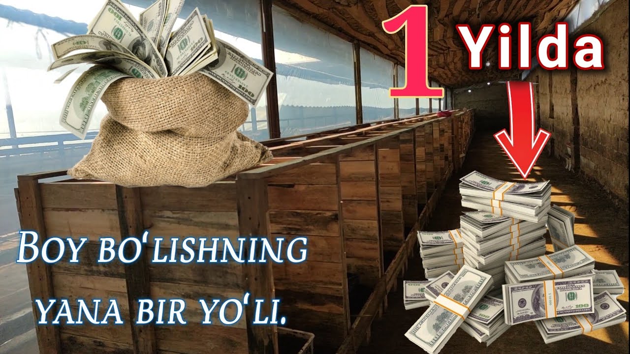 Texnalogiya chiqindini qayta ishlab 1 yilda 300 milon daromad. Biogumus biznesi