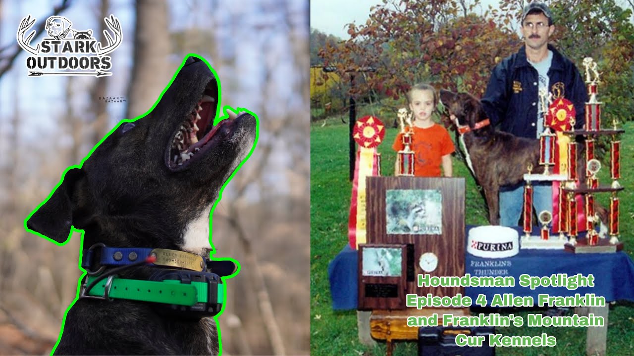 Houndsman Spotlight Episode 4 Allen Franklin and Franklins Mountain Cur Kennels