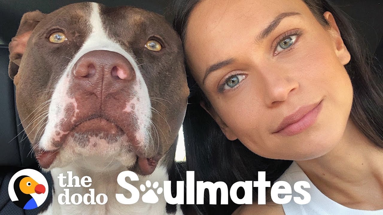 This Woman Couldn't Sleep — Until She Rescued a Pit Bull | The Dodo Soulmates