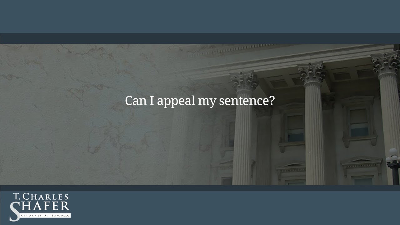 Can I appeal my sentence?