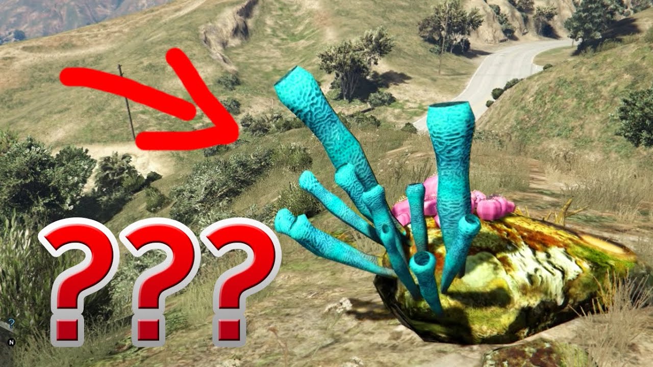 GTA V - UM NOVO MISTÉRIO? O que é isso?