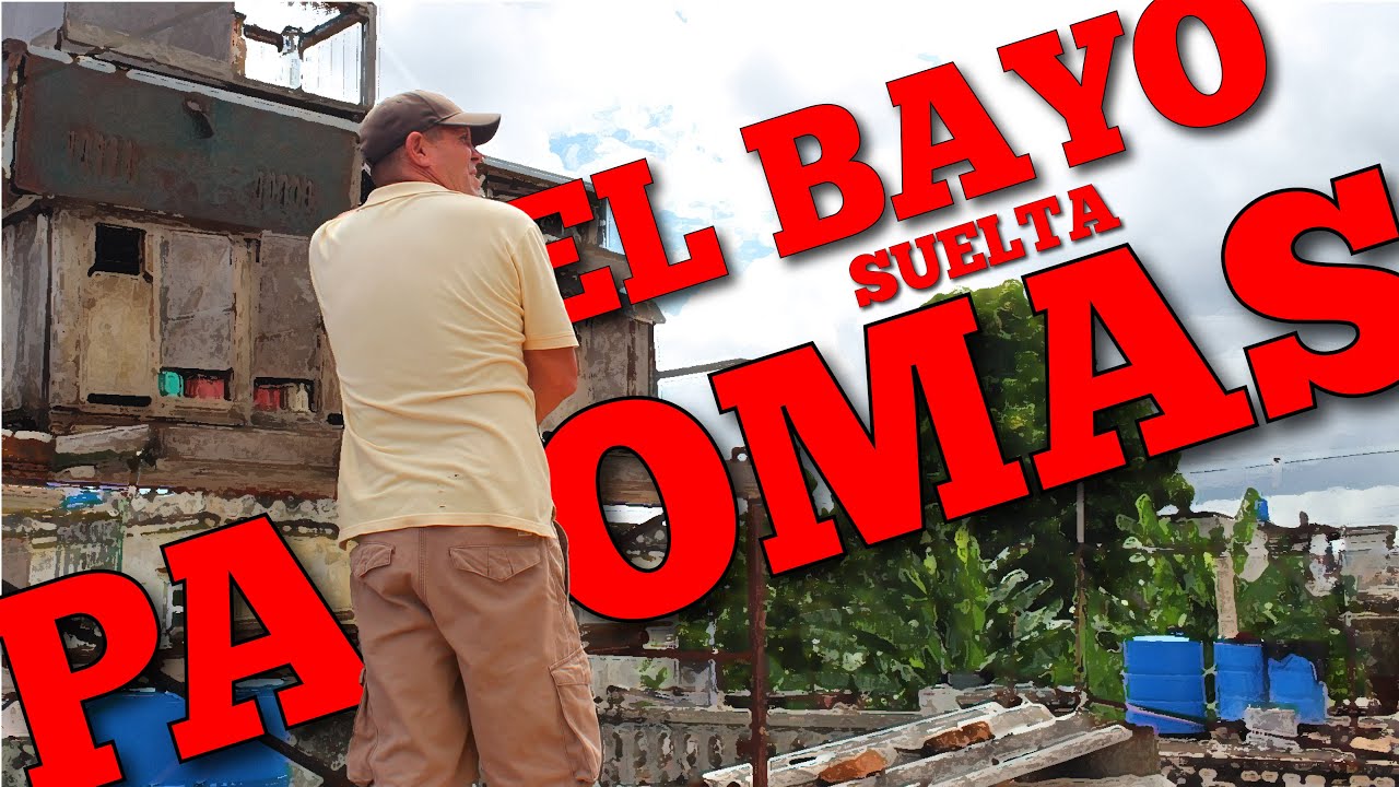 El Bayo suelta sus palomas!