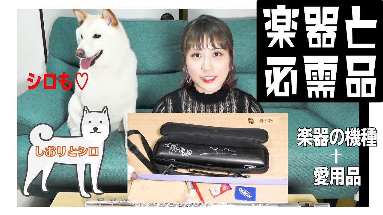 【フルート】楽器紹介&フルートバッグの中身【FLUTE】