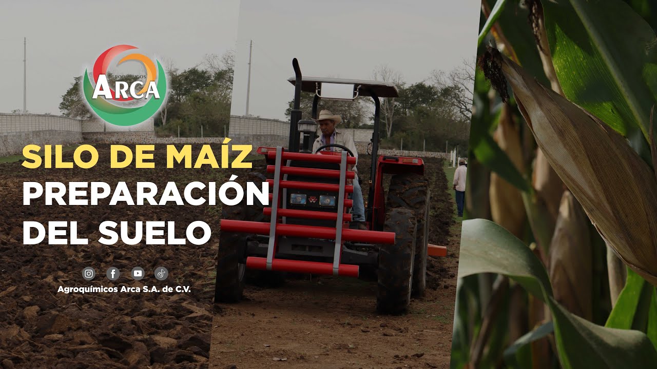 SILO DE MAÍZ II ¿CÓMO PREPARAR EL TERRENO? II PREPARACIÓN DE SUELO II DKSILOS II ARCA BLOGS