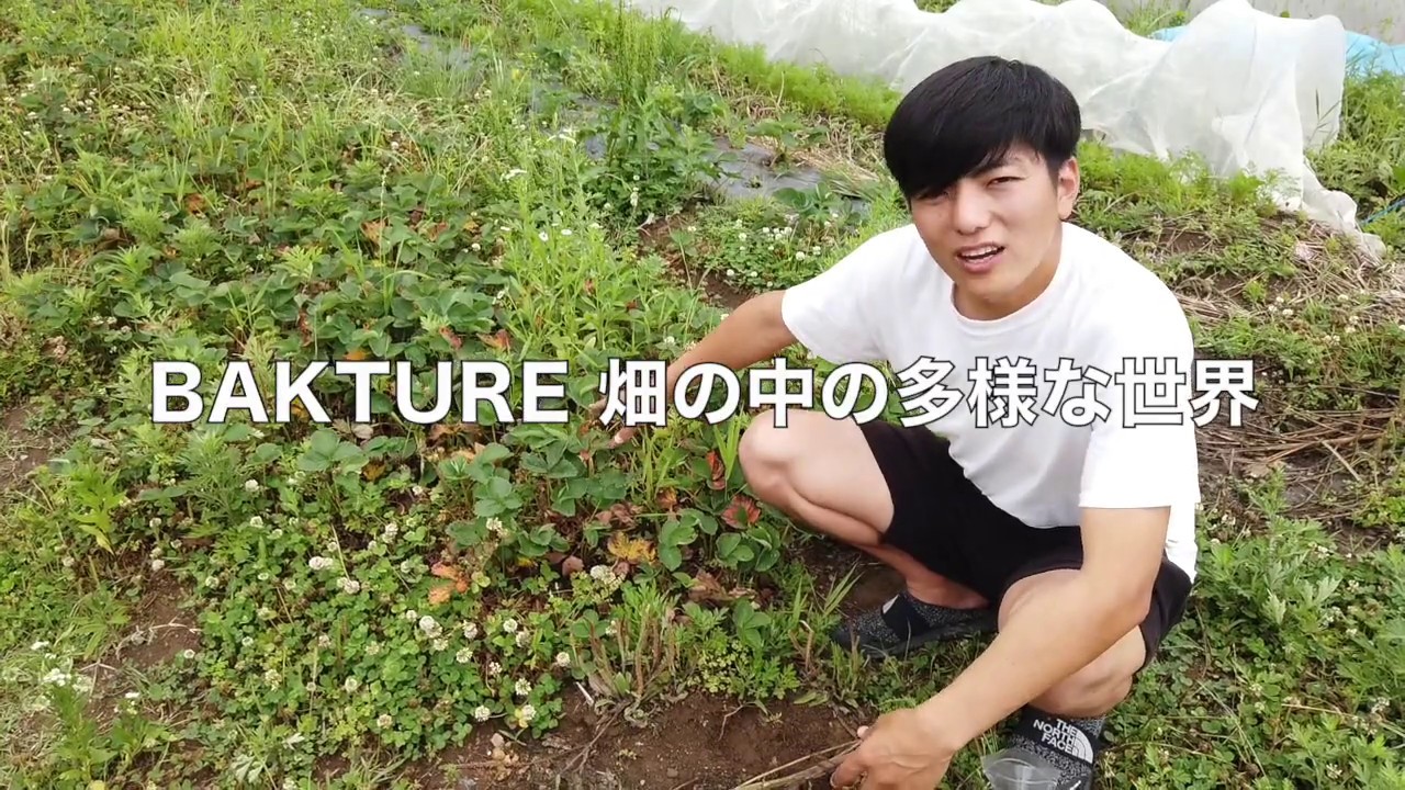 BAKTURE 畑の中の多様な世界
