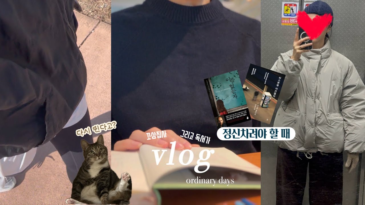 vlog | 독서브이로그 | 다시 먹고 읽고 뛰어 | 한 권을 한 달을 읽는 사람 | 리스본행 야간열차 | 벌자 알바도비 | 꼬마고양이와 함께하는 일상 | ordinary days