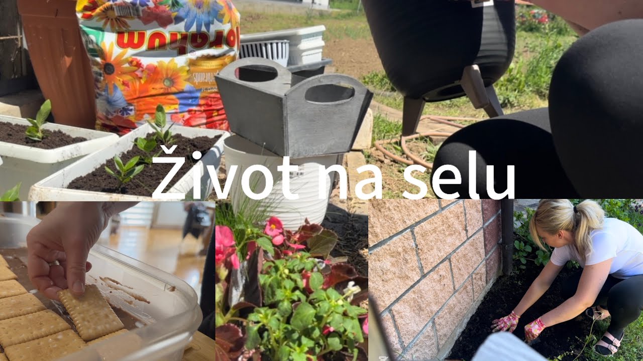 VIDI LJEPOTU i kada mislis da je NEMA🌿Jutranja rutina🌿BRZI KOLAC OD KEKSA I PUDINGA/Sadnja cvijeca🌺